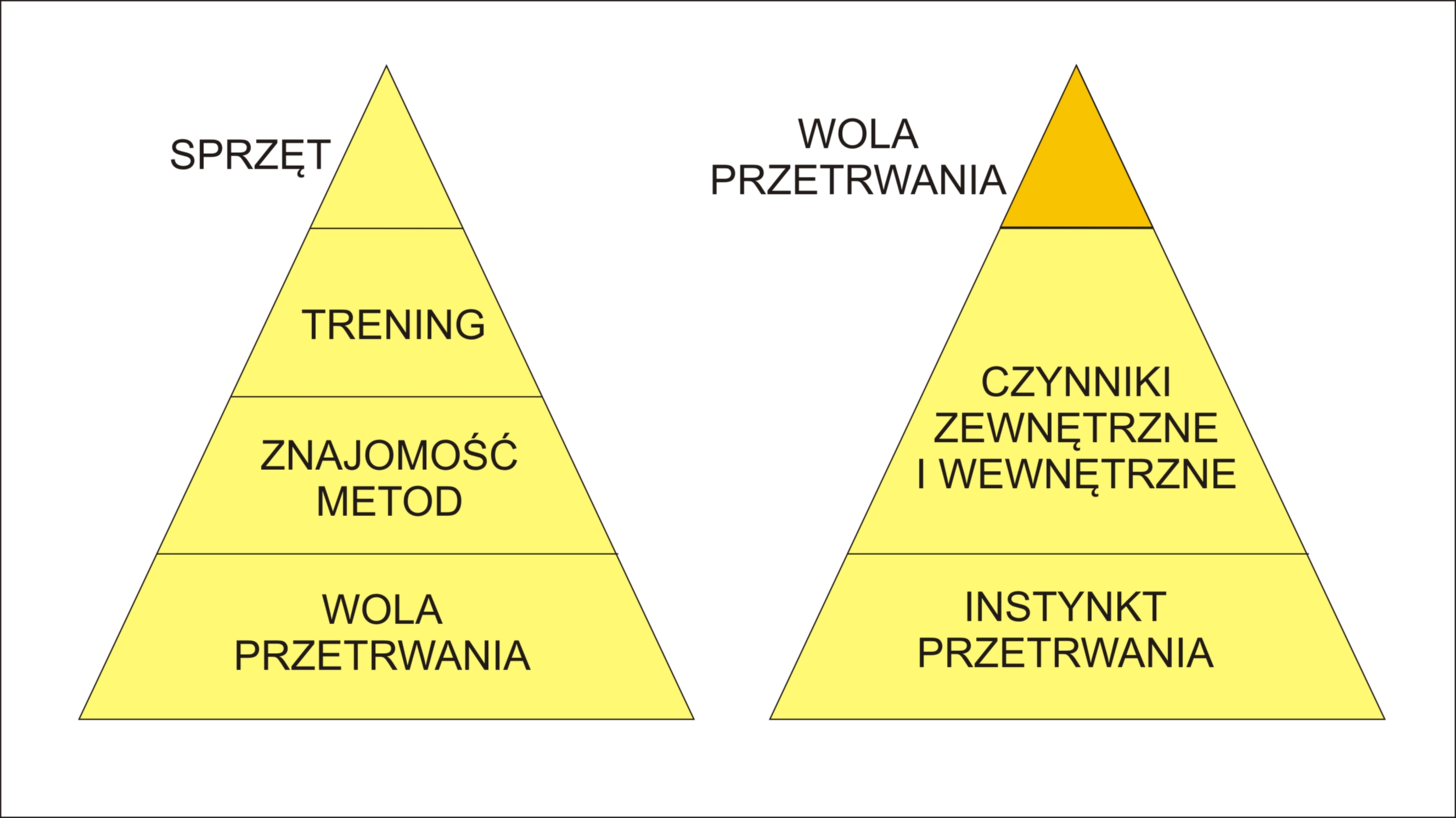 PIRAMIDA PRZETRWANIA